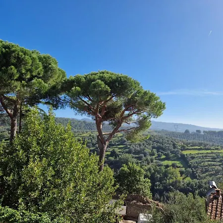 Casa Papalino, Con Jacuzzi E Vista Sulle Colline Di Vinci * Larciano