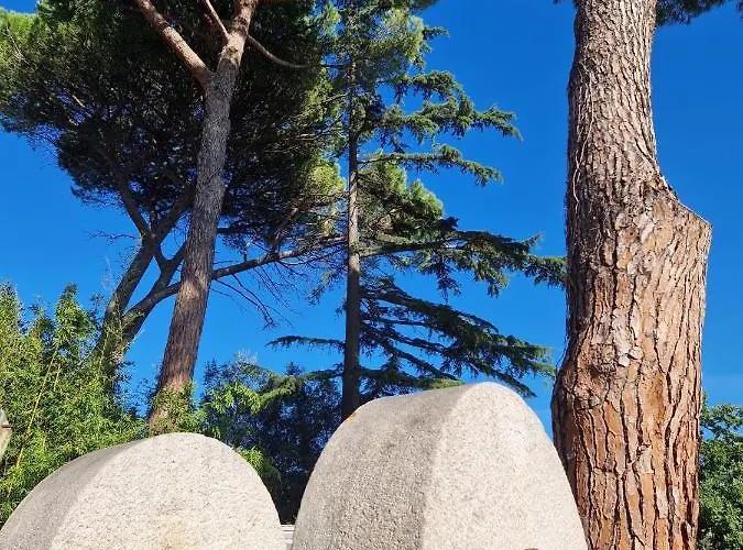 Hébergement de vacances Casa Papalino, Con Jacuzzi E Vista Sulle Colline Di Vinci *